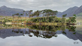 Stillness