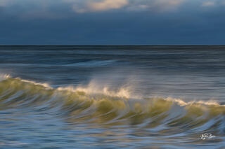 Whisper of the Tide
