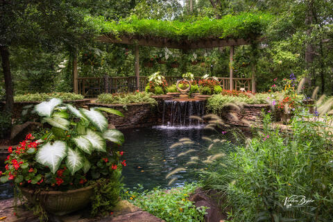 Pool of Heaven