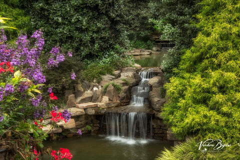 Zen Beauty