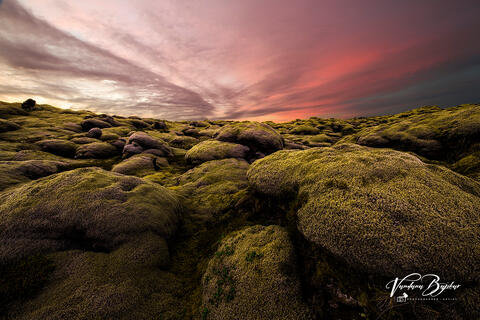 Mossy