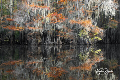 Reflections