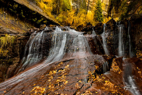 Bridal Veil