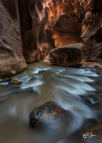 Flow in the Light
