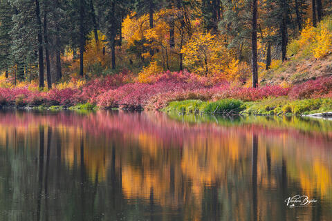 Reflections