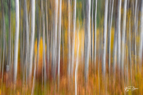 Abstract
