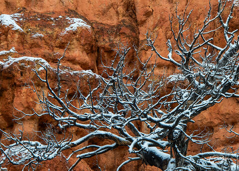 Red Rock Art