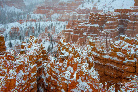 Red Winter Land