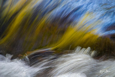 Liquid Spring