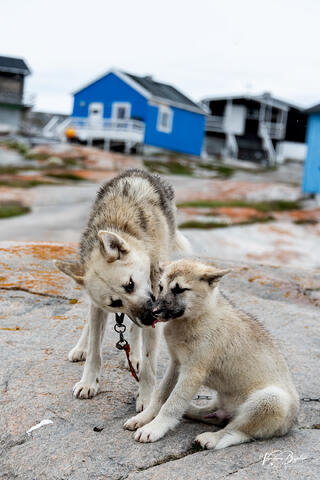 Mother's Love