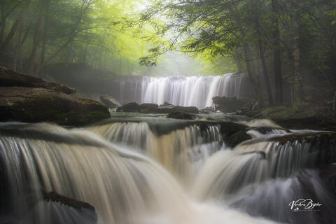 Foggy Dreams