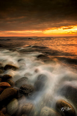 Silk Waves