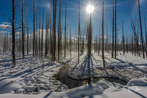 Winterized