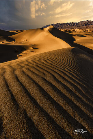 Sandy Wave